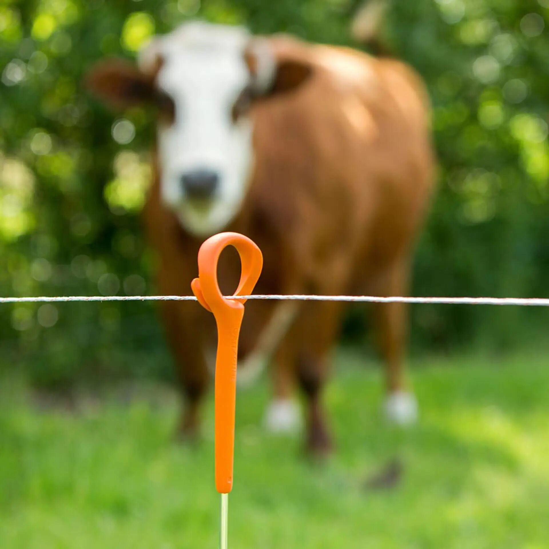 Gallagher - Ring-top paal - 115 cm - 10 Stuks - Oranje - 8 cm - 85 cm