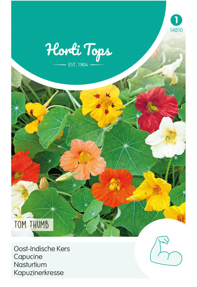 Hortitops Oost-Indische Kerst Tom Thumb - Bloemzaden
