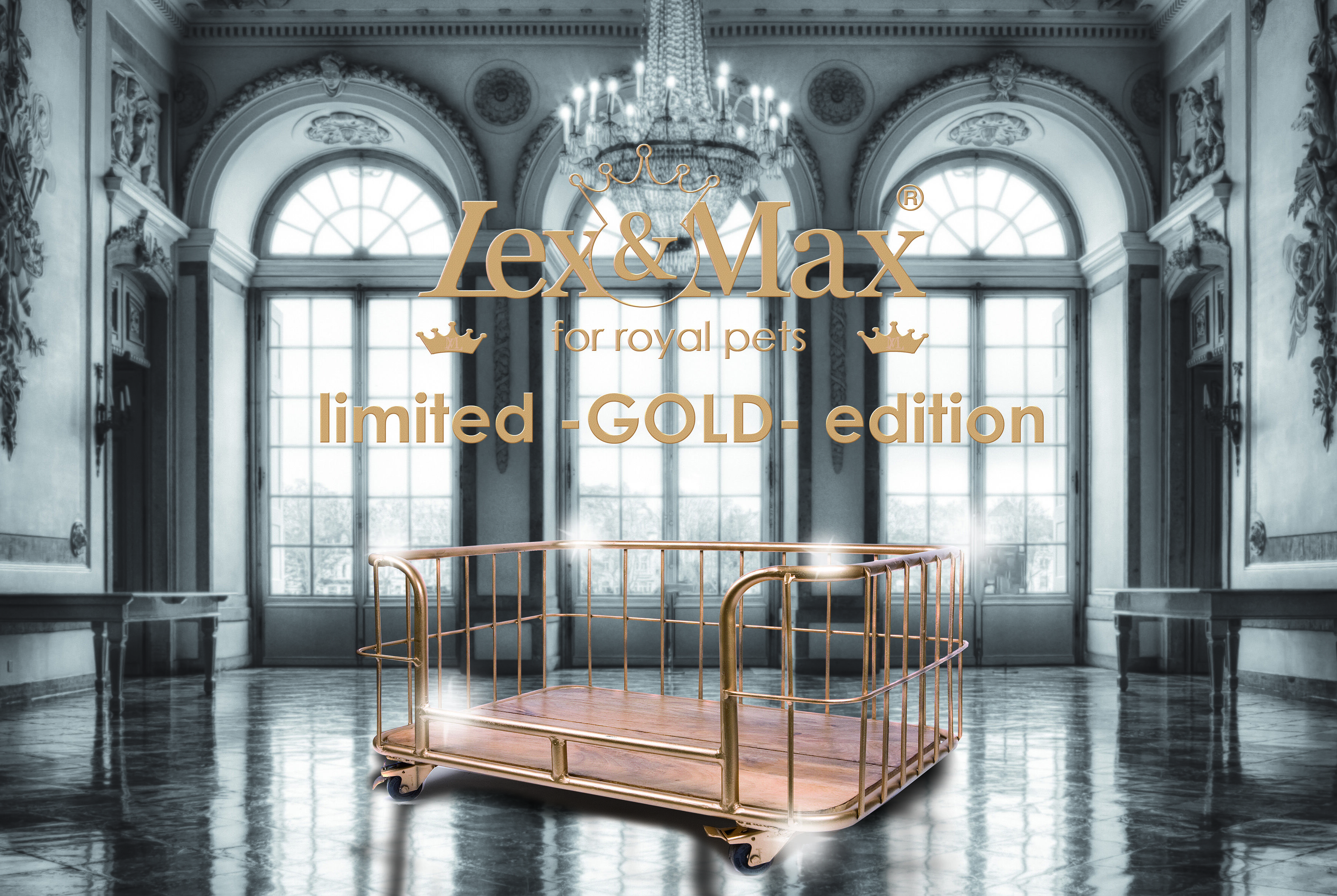 Lex & Max Metal Wire Basket  - Divan - Hondenbench meubel - Goud - 52x76x41 cm - S