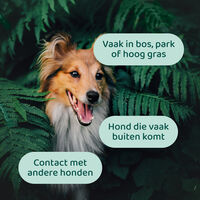 Dogsuppy Anti-Parasiet Spray - Anti Vlooien en teken Hond - 100 Milliliter