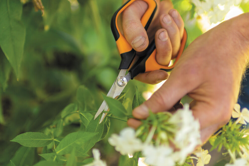 Fiskars Solid Snip SP15 Bloemen - Snoeischaar