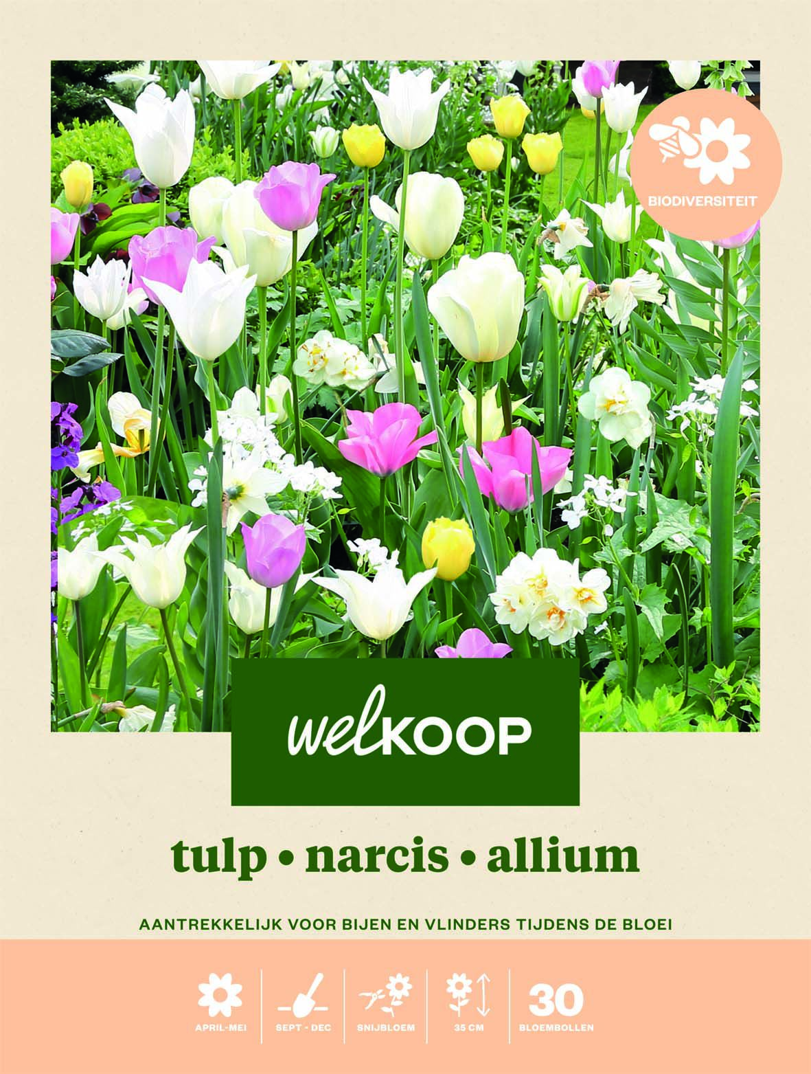 Welkoop Tulp Narcis Allium Biodiversiteit - Bloembollen Welkoop Tulp Narcis Allium Biodiversiteit - Bloembollen