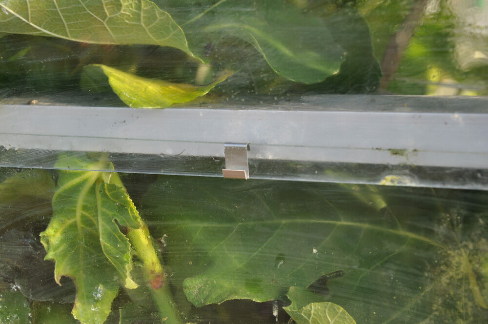 Royal Well Glashaken - Kas accessoire