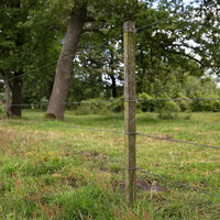 Gallagher Insultimber Tussenpaal - Afrasteringspaal - 3.8 cm - 180 cm - 180 cm