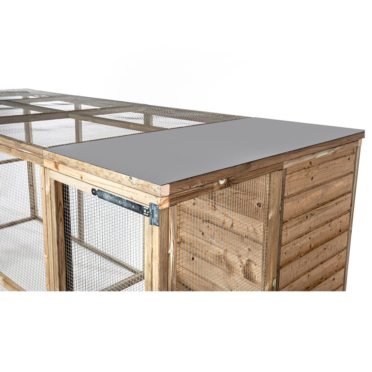 Glorenza - Kippenren - Naturel - Rechts