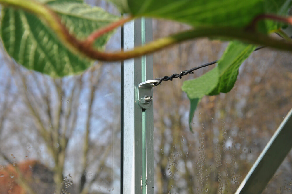 Royal Well unibeugels - Kas accessoires - Zilver