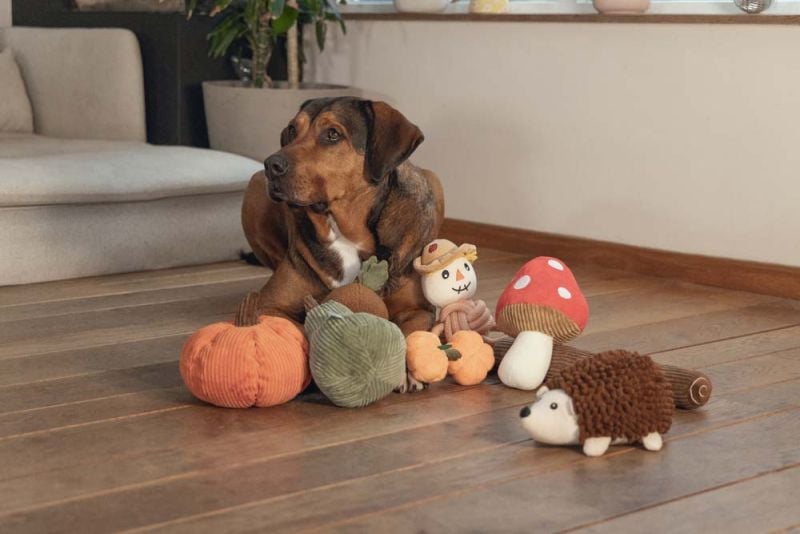 Beeztees Paddenstoel Toad - Knuffel - Hondenspeelgoed - Rood - 14x15x1 cm