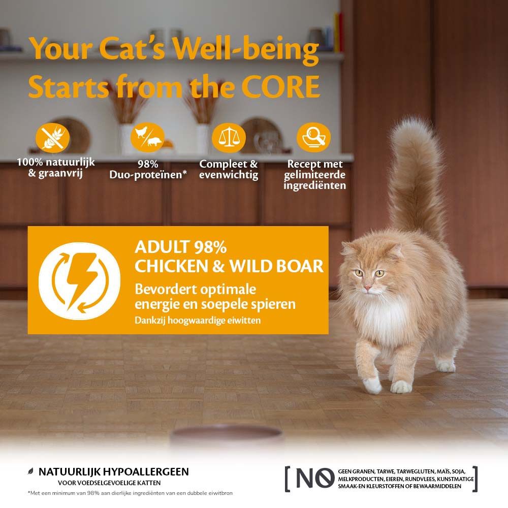 Wellness Core 98% Duo Protein - Kattenvoer - 85 Gram - wild, kip