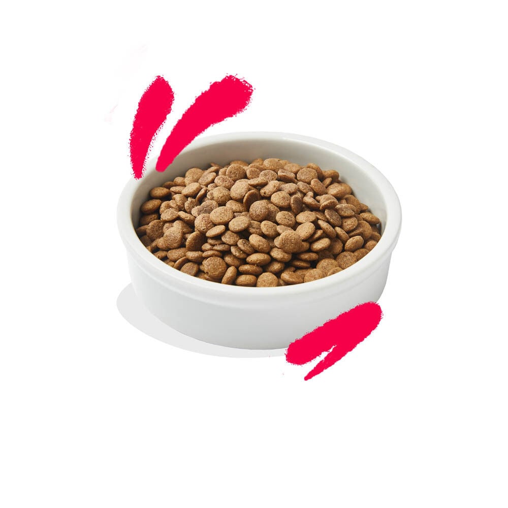 Edgard & Cooper Senior Brokjes - Kattenvoer - 2 Kilogram - kalkoen, kip