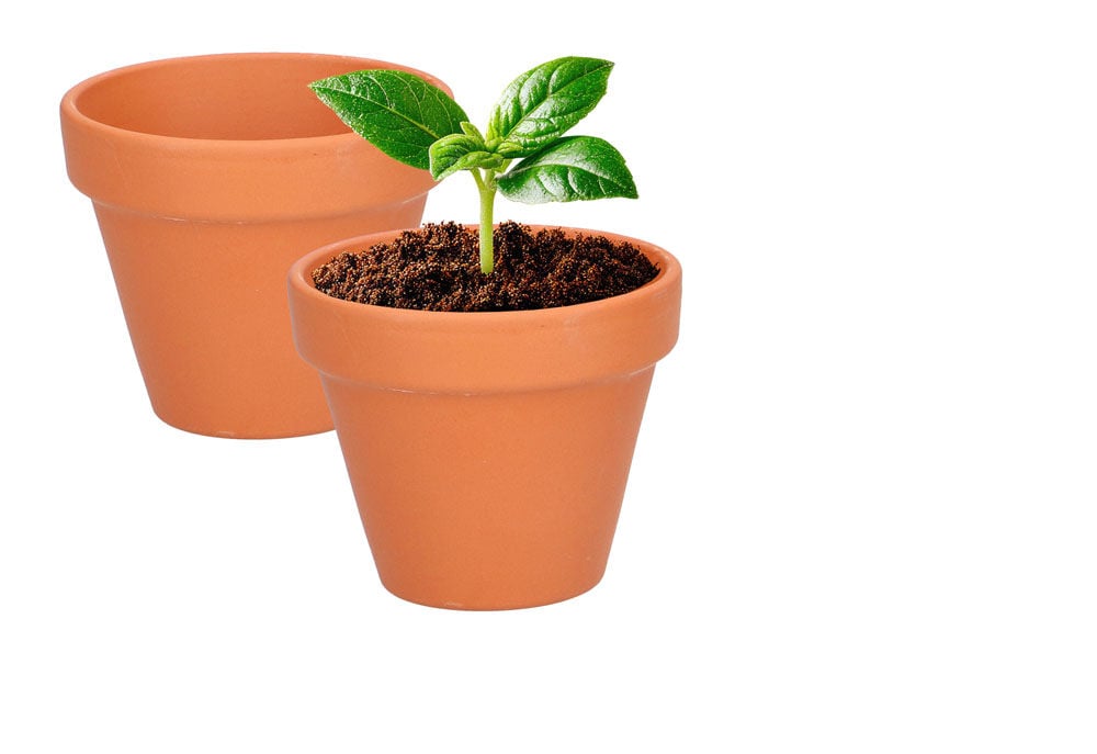 Welkoop Moestuin Magie - Terracotta Pot