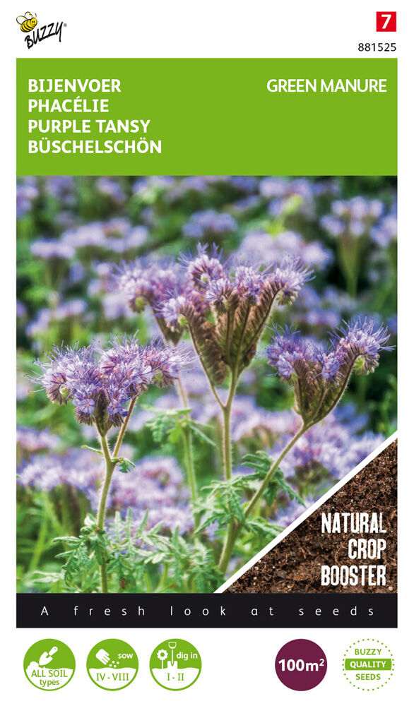 Buzzy Bijenplant Phacelia - Groenbemester