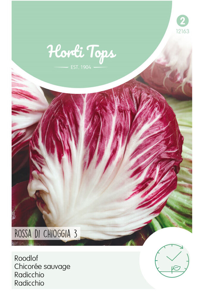 Hortitops Roodlof Cichorium intybus Radicchio Rosso Di Chioggia - Groentezaden