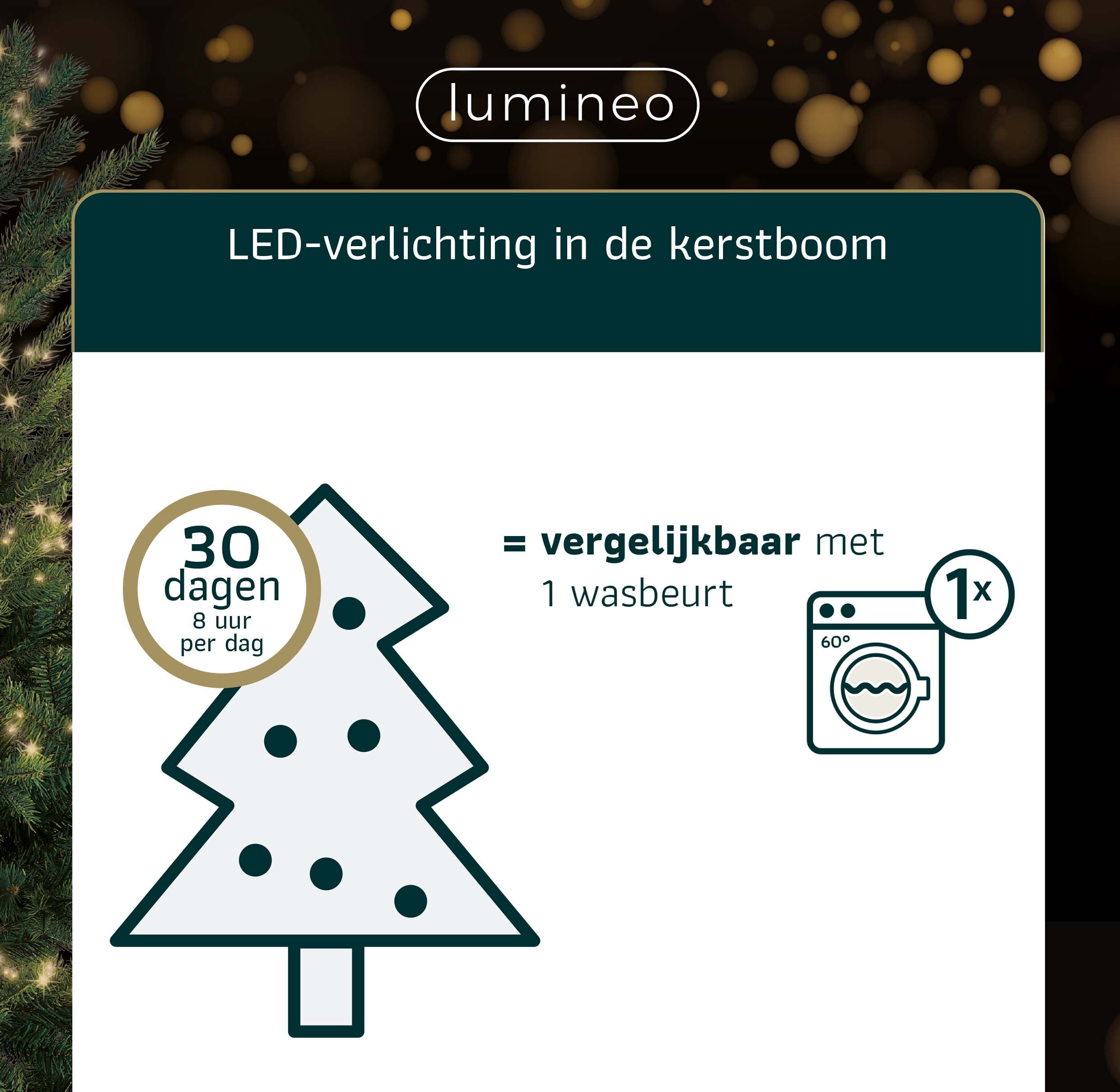 Lumineo Basic - Kerstboomverlichting - 80 - Warm wit - 600 cm