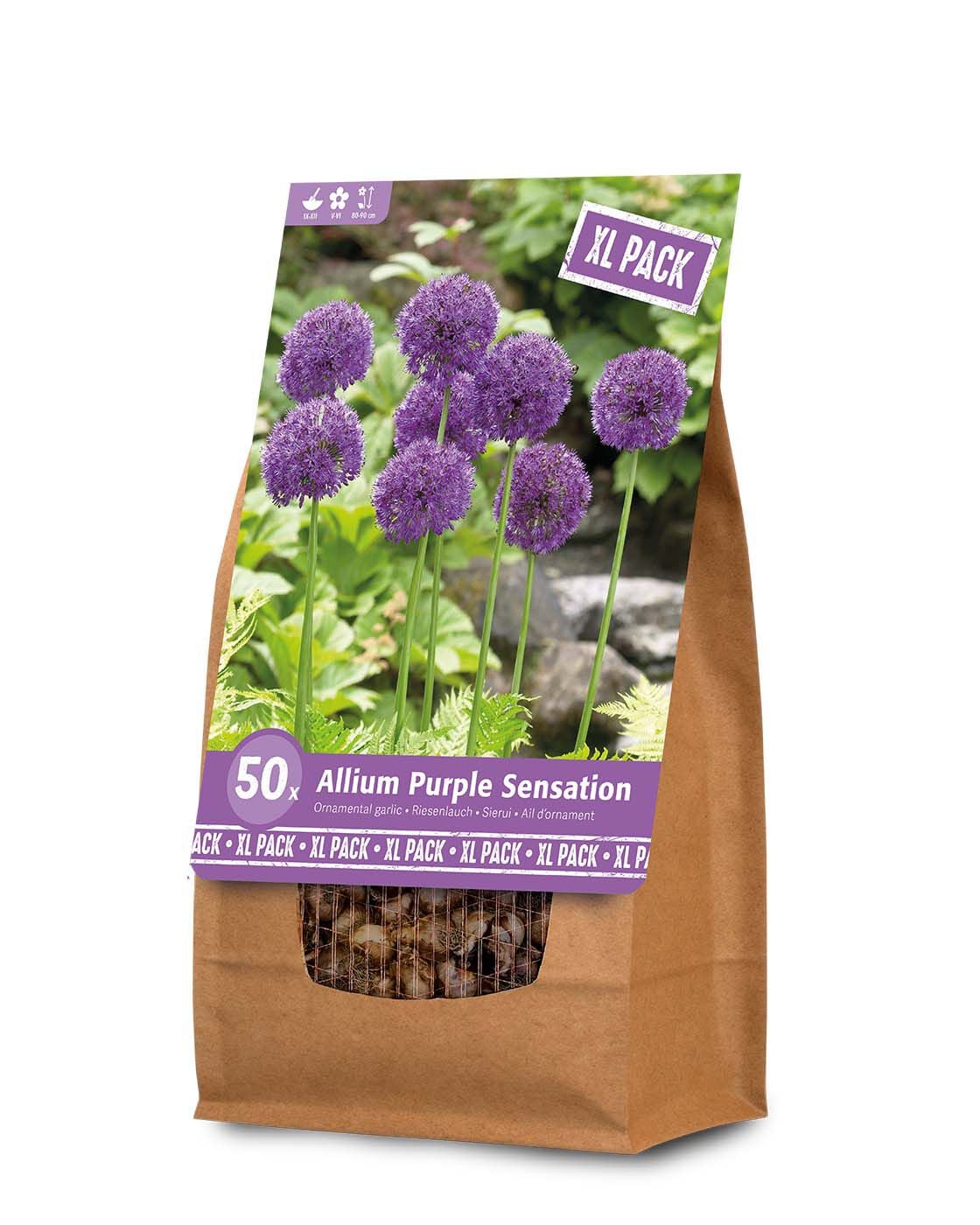 Florex Allium - Bloembollen -  XL zak