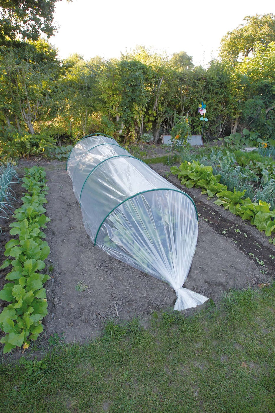 Nature Groeifolie Transparant - Plantbescherming - 40x1000x4 cm