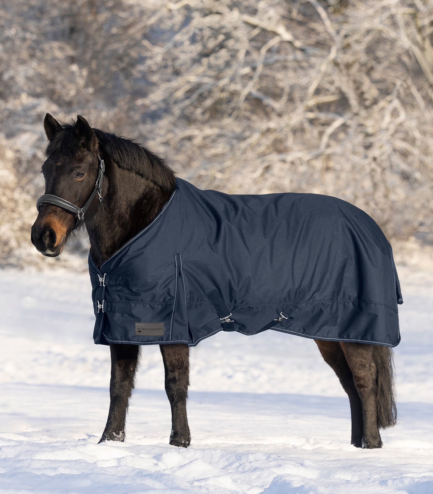 Waldhausen Nordic Fleece - Winterdeken - Paardendeken - Blauw - 95/145