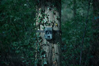 Camouflage SM4-PRO - Wildcamera - 7.2x10.3x13.5 cm