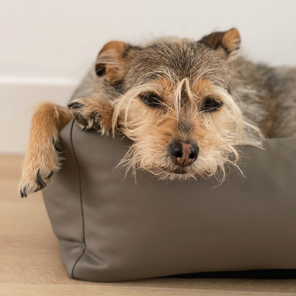 District 70 URBAN - Hondenmand - taupe - 1x44x60 cm - S