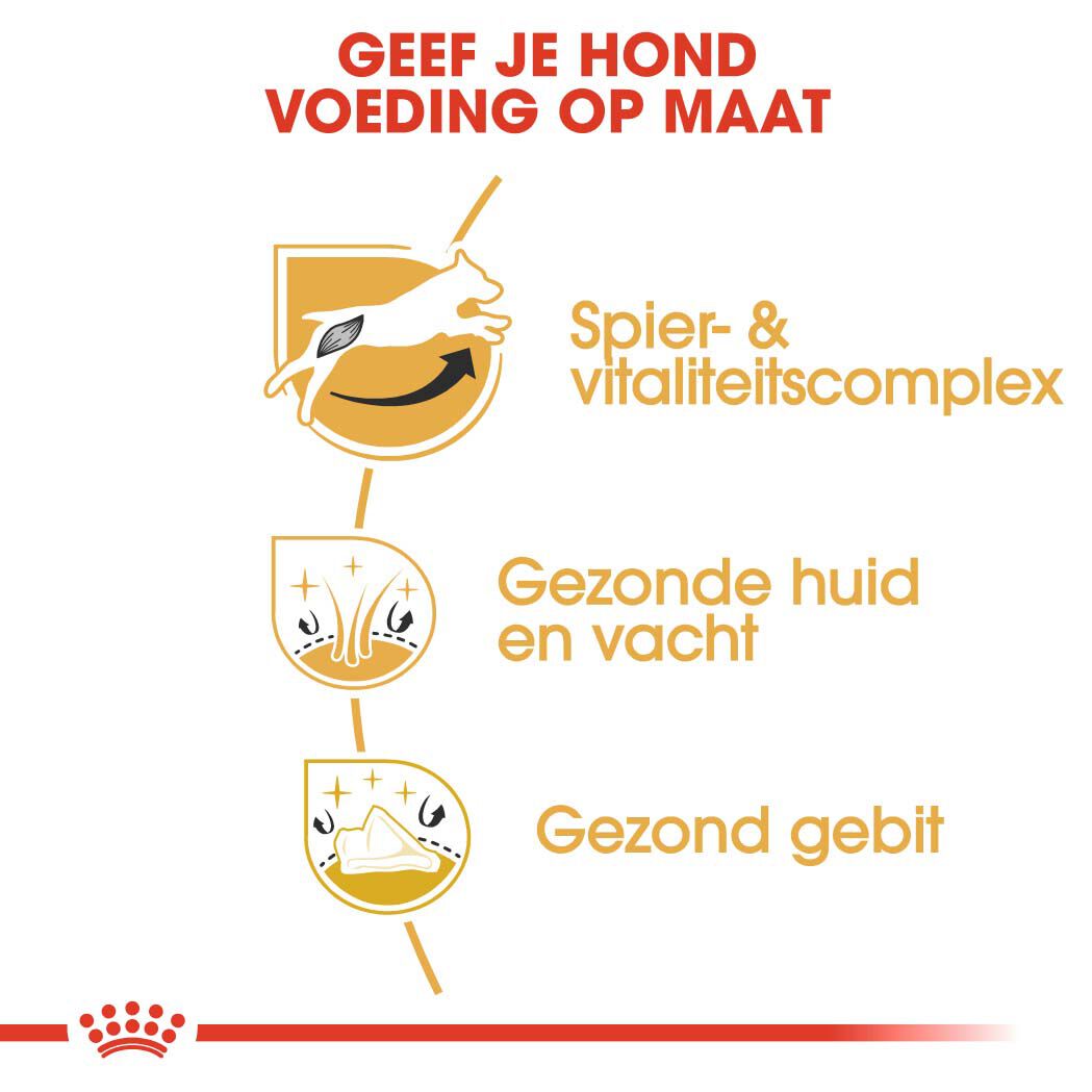 Royal Canin Jack Russell Terrier Adult - Hondenvoer - 1.5 Kilogram - gevogelte