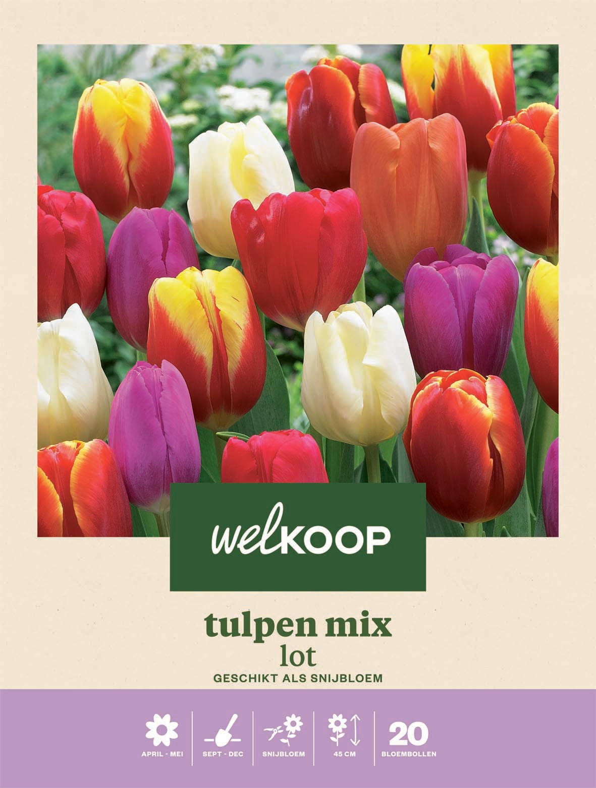 Welkoop Tulpen mix Lot - Bloembollen Welkoop Tulpen mix Lot - Bloembollen