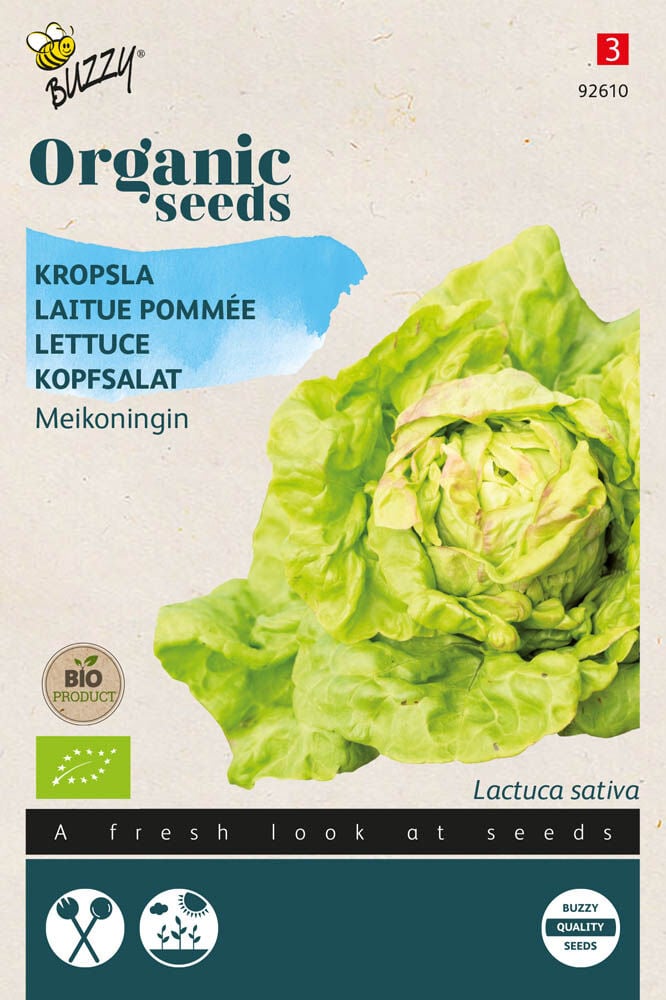 Buzzy Kropsla Lactuca sativa Meikoningin - Sla Buzzy Kropsla Lactuca sativa Meikoningin - Sla