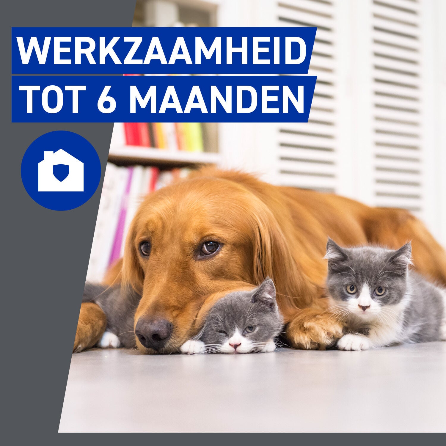 Frontline Homegard - Anti Vlooien en teken - Omgevingsspray - 500 Milliliter
