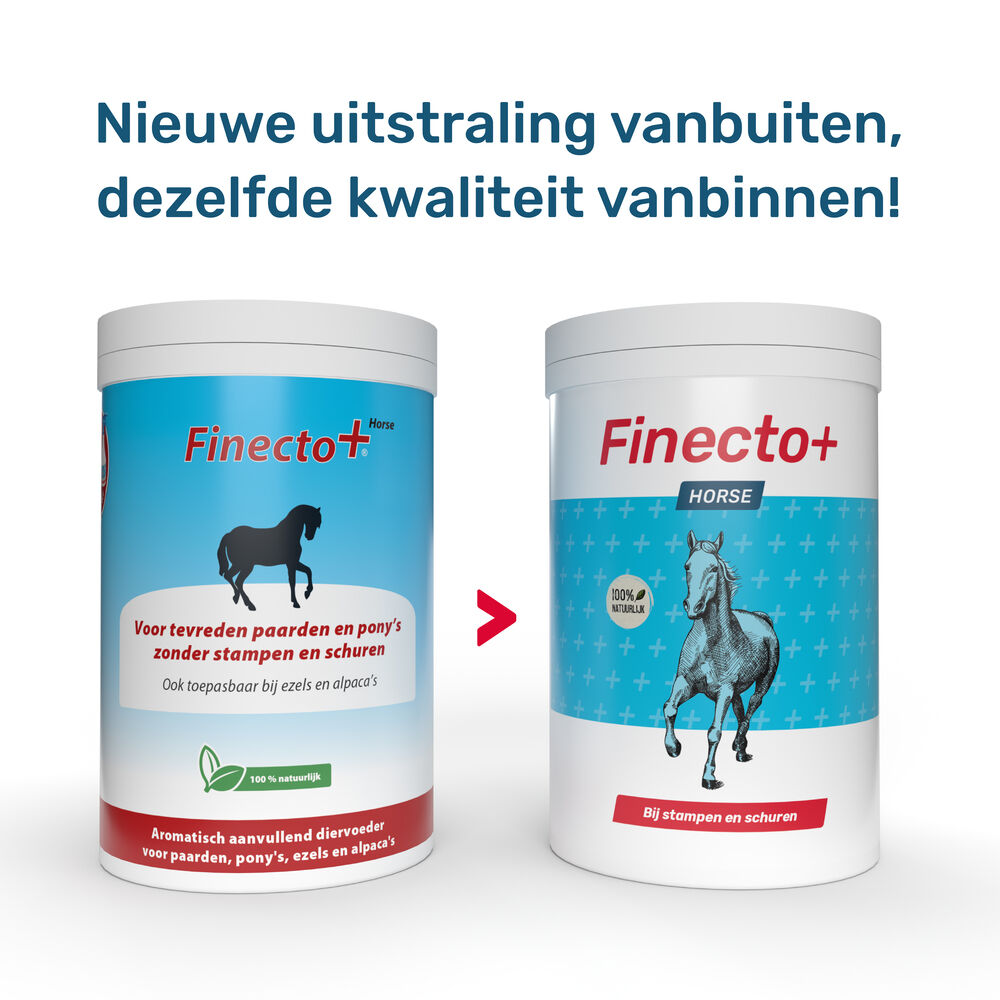Finecto+ Horse - Supplement - 0.6 Kilogram - Pot