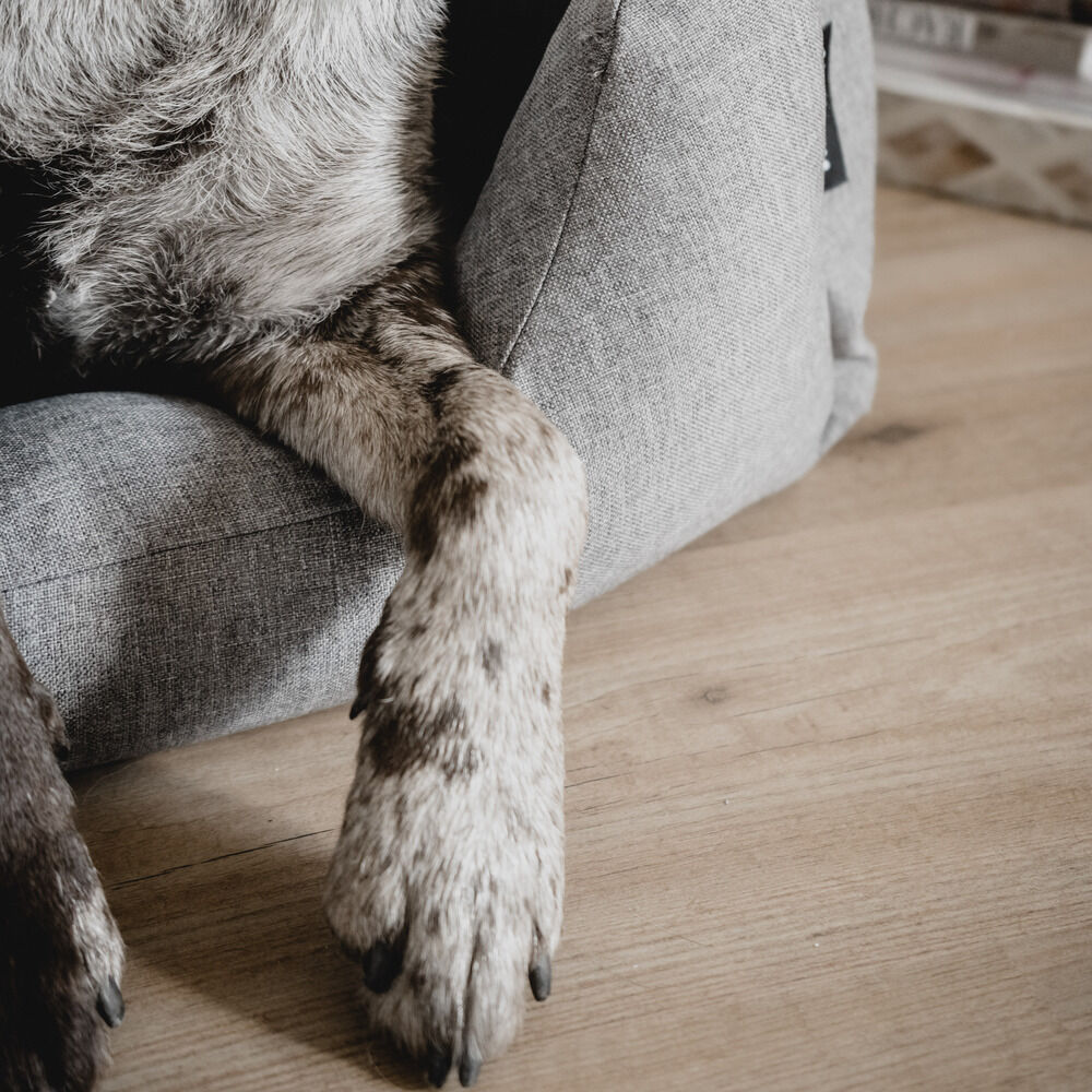 District 70 CLASSIC - Hondenmand - lichtgrijs - 25x60x80 cm - S