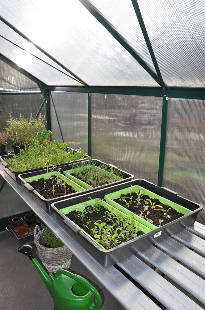 ROYAL WELL Grower - Kweektafel - L