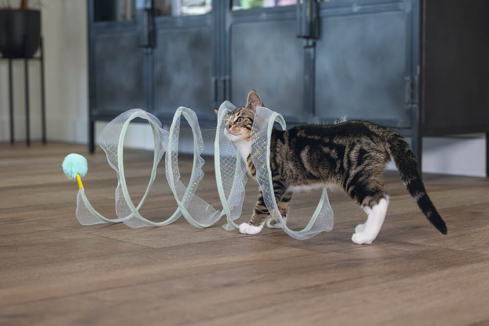 Beeztees Gabi - Katten Speelspiraal - Multi