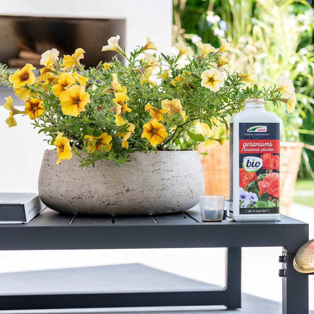 DCM Vloeibare Meststof Geraniums & Bloeiende Planten - Siertuinmeststof - 800 Milliliter