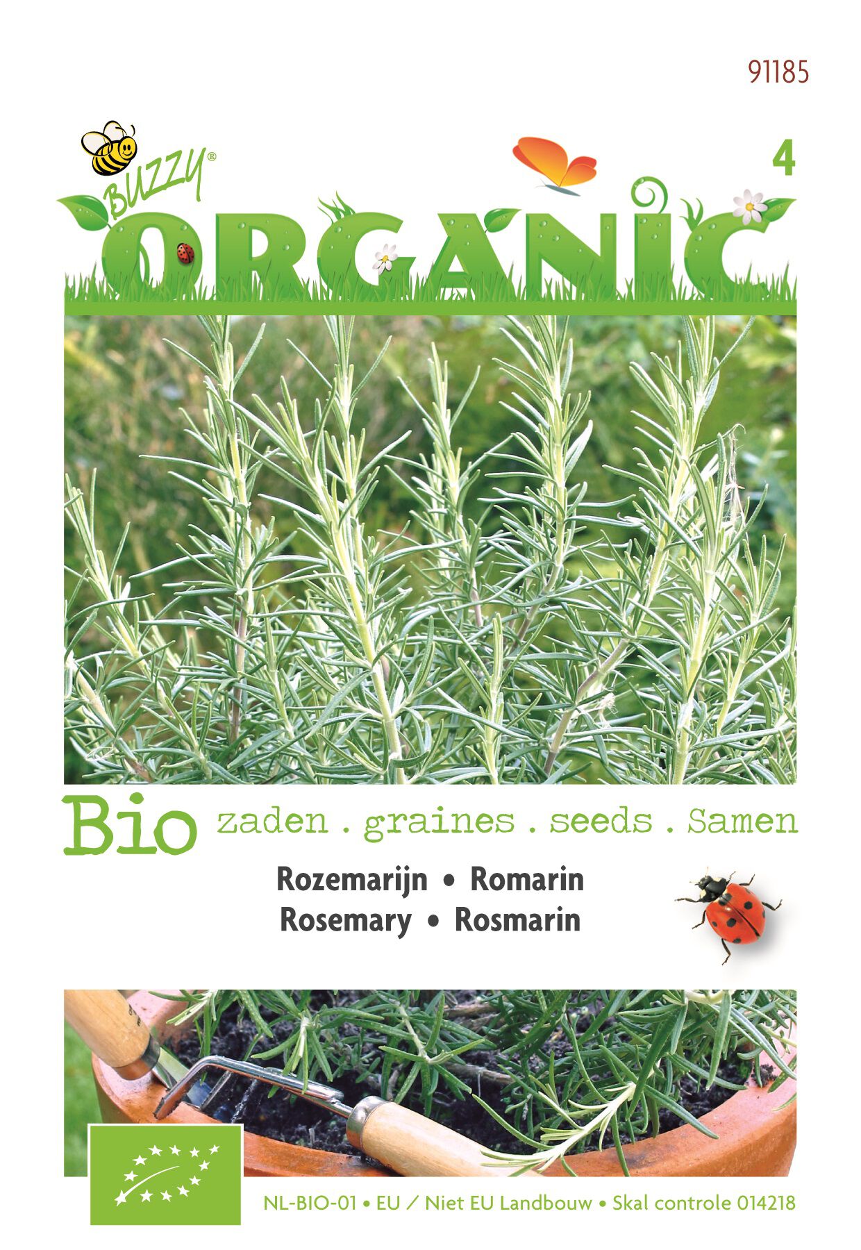 Buzzy Rozemarijn (BIO) Rosmarinus officinalis - Kruidenzaden