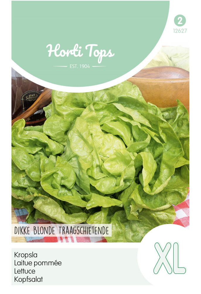 Hortitops Kropsla Lactuva sativa Grosse Blonde - Dikke Blonde Traagsch. - Groentezaden