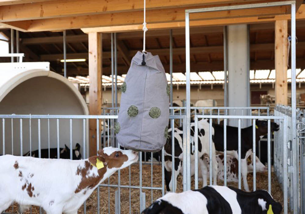 Kerbl HayBag - Hooizak - Grijs - 50x50x70 cm