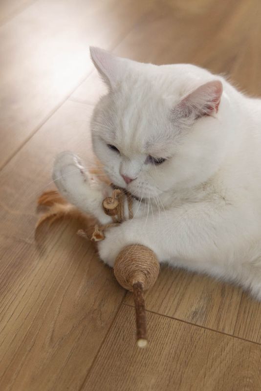 Beeztees Bal Juto - Kattenspeeltje - Beige