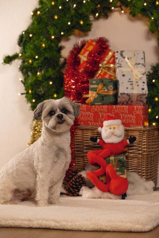 Beeztees Kerstman Spiraal - Knuffel - Hondenspeelgoed - Rood