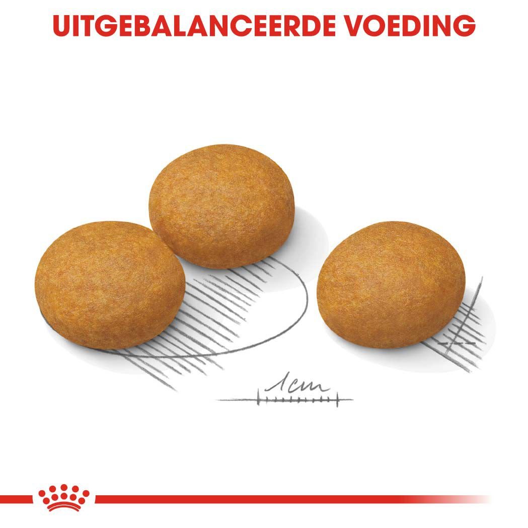 Royal Canin Maxi Dermacomfort - Hondenvoer - 3 Kilogram - gevogelte