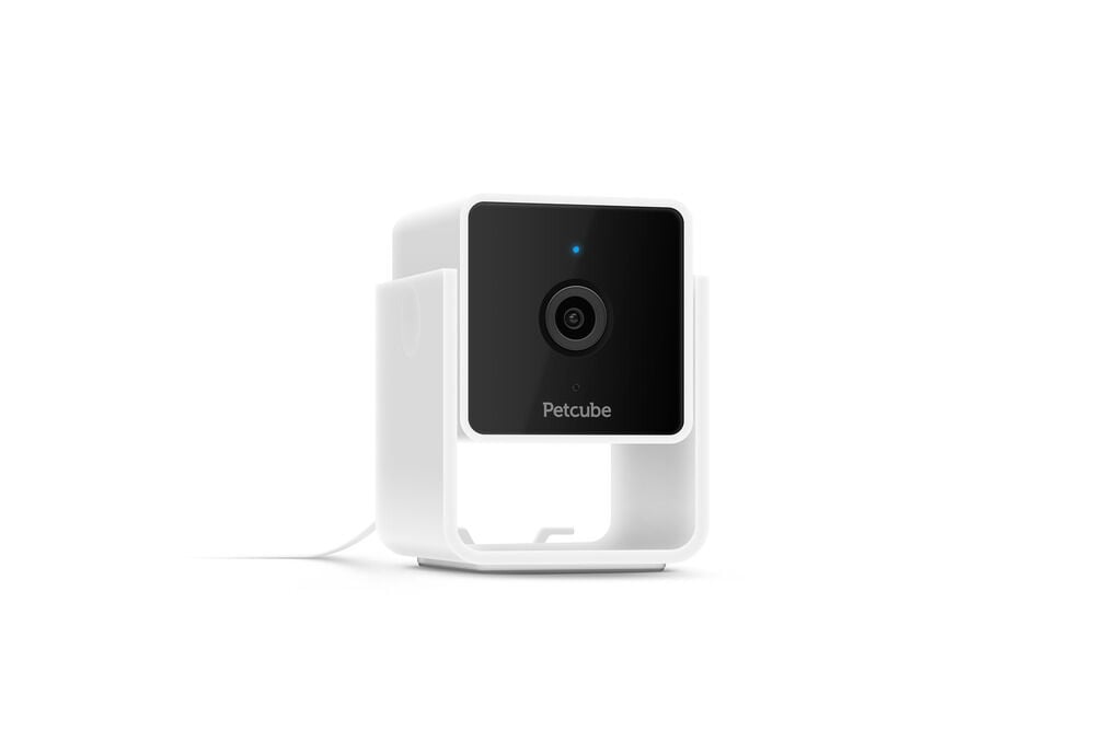 Petcube - Pet Camera - Met Nachtvisie Petcube - Pet Camera - Met Nachtvisie