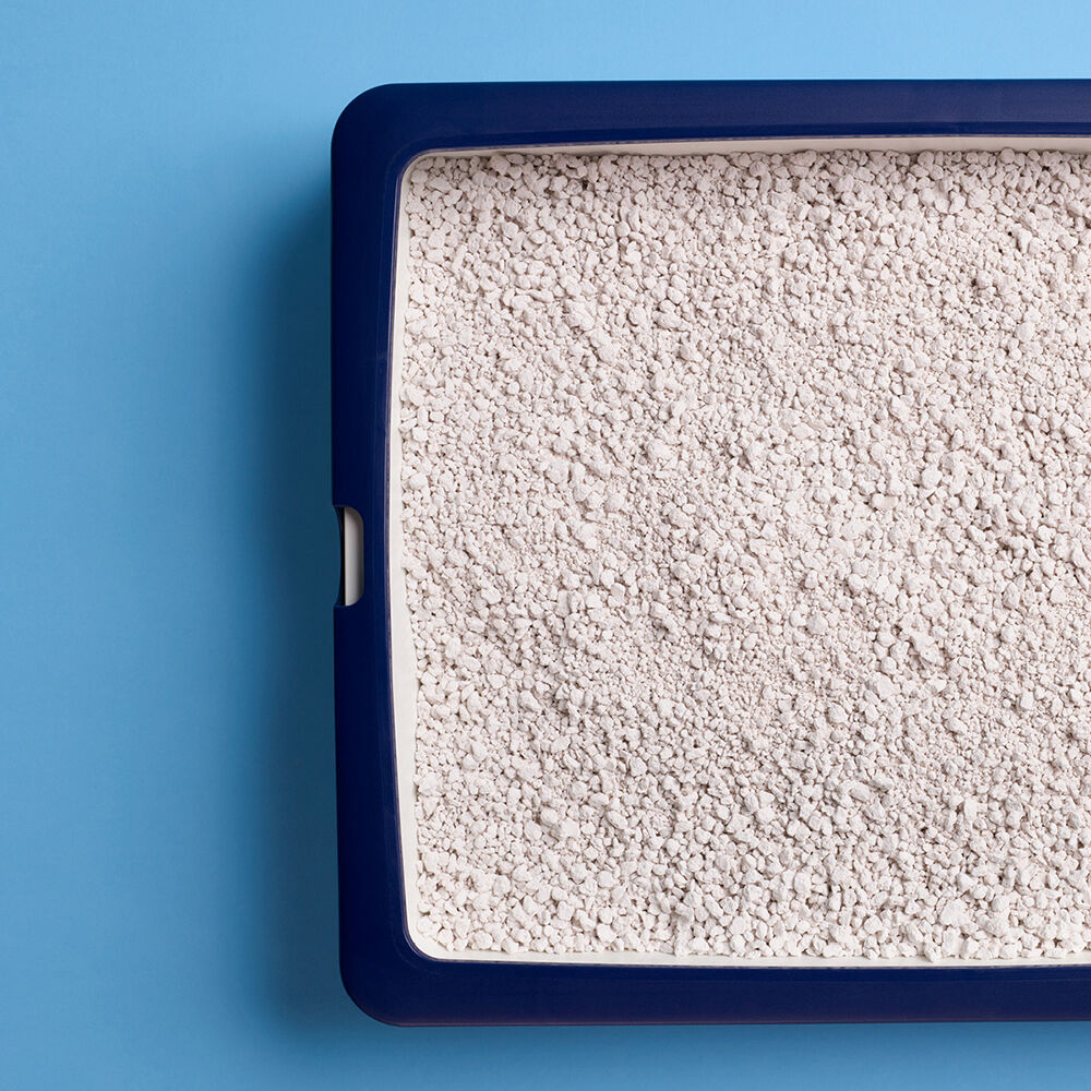 Catsan Hygiene Plus - Kattenbakvulling - 20 Liter