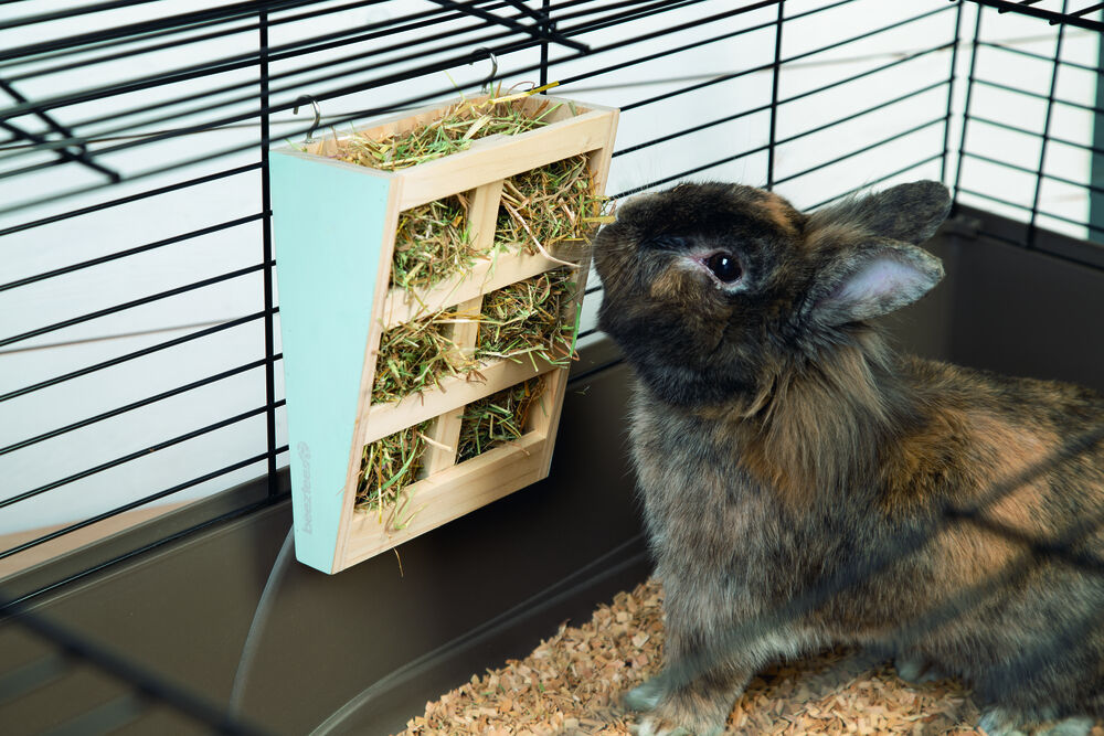 Beeztees Rima - Hooiruif - Mint - 22x15x20 cm