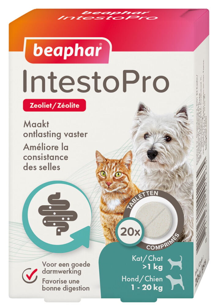 Beaphar IntestoPro Kat - Hond tot 20kg - Verlicht darmproblemen - 20 Stuks - S Beaphar IntestoPro Kat - Hond tot 20kg - Verlicht darmproblemen - 20 Stuks - S