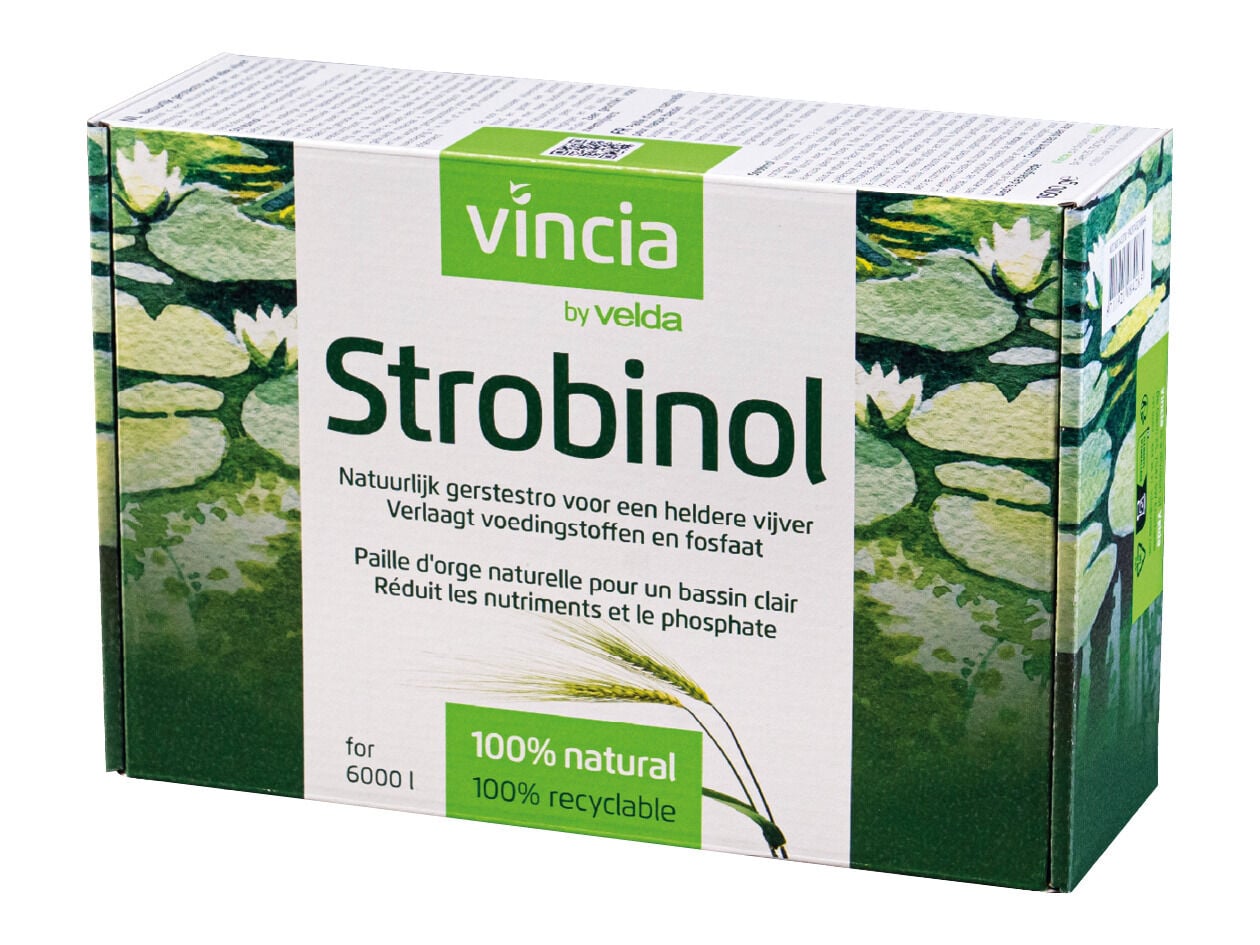 Vt - Strobinol