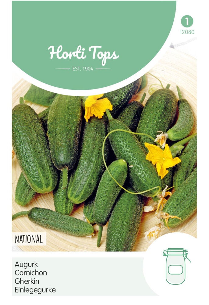 Hortitops Augurken Cucumis sativus National -Kleine Groene- - Groentezaden