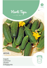 Hortitops Augurken Cucumis sativus National -Kleine Groene- - Groentezaden