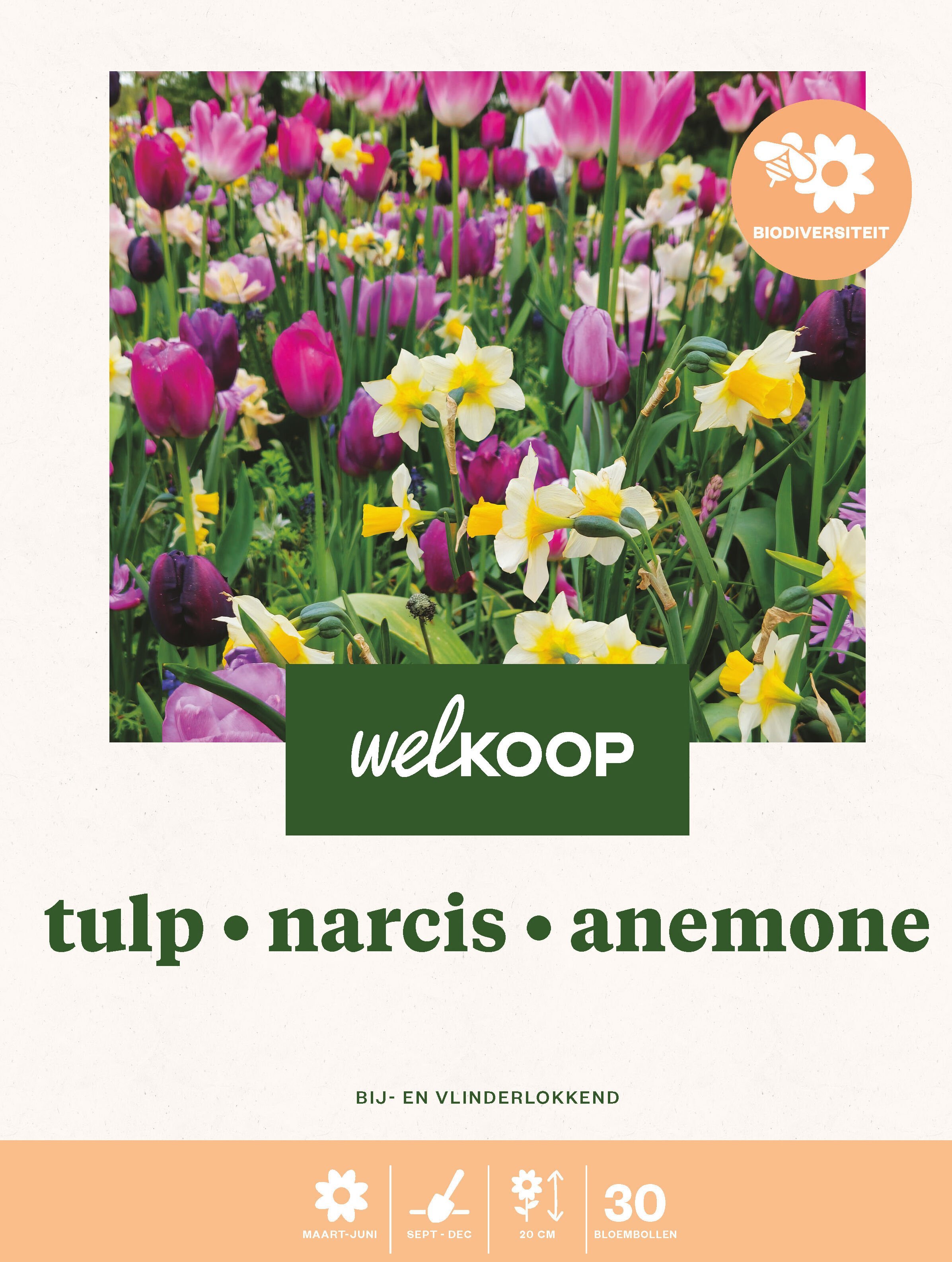 Welkoop Tulp - Biodiversiteit - Bloembollen
