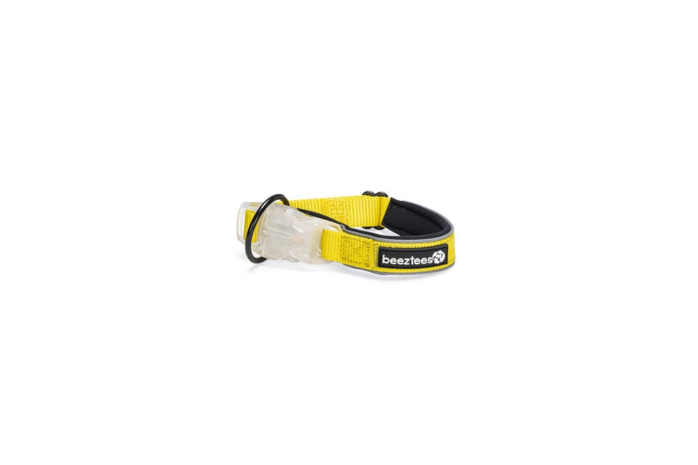 Beeztees Parinca - Lichtende Halsband - Hond - Geel - 35 tot 40 cm Beeztees Parinca - Lichtende Halsband - Hond - Geel - 35 tot 40 cm