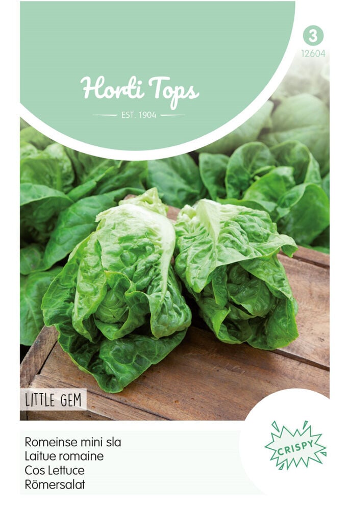 Hortitops Bindsla Lactuca sativa Romeinse mini sla - Little Gem - Sucrine - Groentezaden