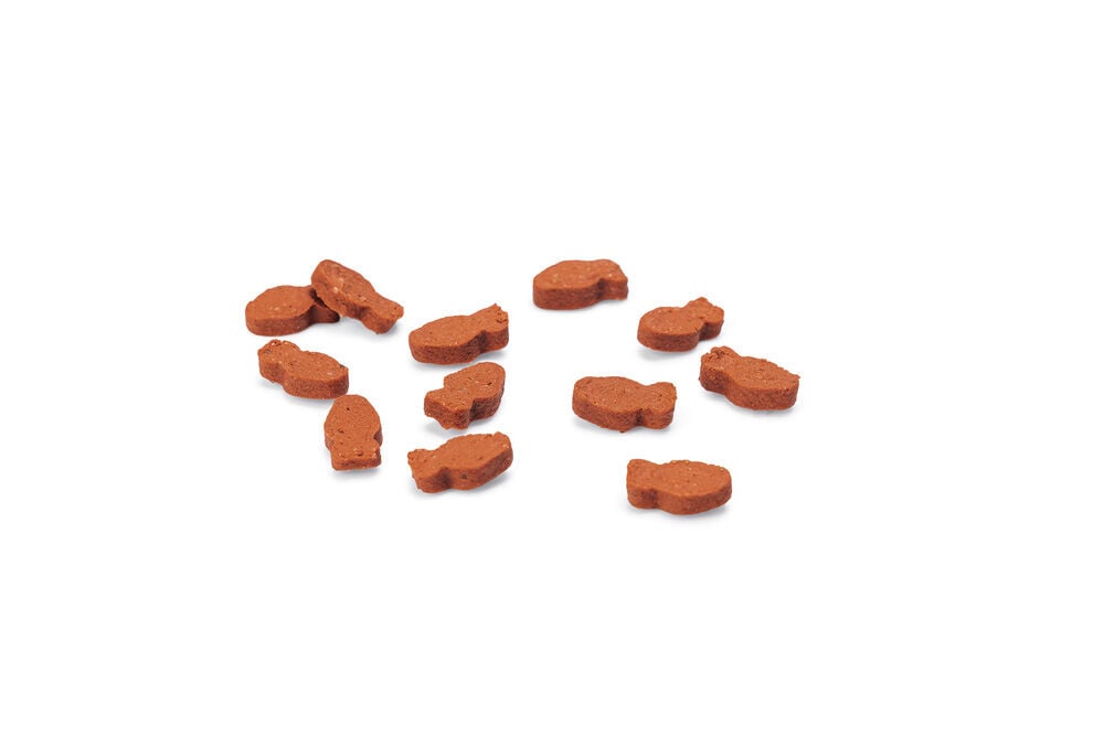 Beeztees Fishies Granen - Kattensnack - 140 Gram - zalm