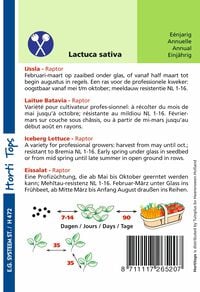 Hortitops Ijssla Lactuca sativa Raptor (vh Dublin) - Groentezaden