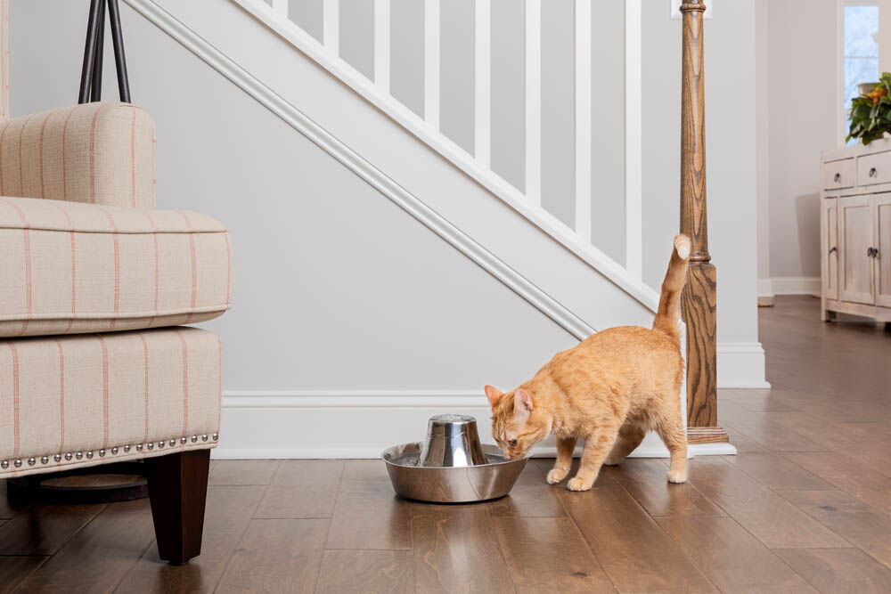 Petsafe Seaside - Drinkfontein RVS - 0.8 l - Zilver - 13.8x28.2x27.5 cm